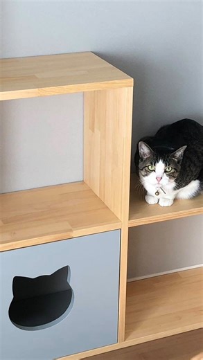 建築白石株式会社 ✦ Modern Design ✦ | 2025年11月1日 承っておりました新築工事が無事に終了し 引き渡しの日を迎えることができました。 思い返せば真夏の暑い日に 上棟式・餅まきを行い、たくさんの方にお祝いされて始まった新築工事。 すっかりあの暑さも懐かしく感じる季節となりました。... | Instagram