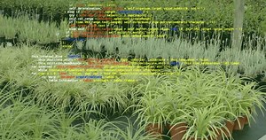 「JavaScript コードから始まるシーケンス草のカメラの右パンの上のスクロール フェード ロジックを表示します。園芸， テクノロジー， ソフトウェア，緑，風景，」の動画素材（ロイヤリティフリー）3910217959 | Shutterstock