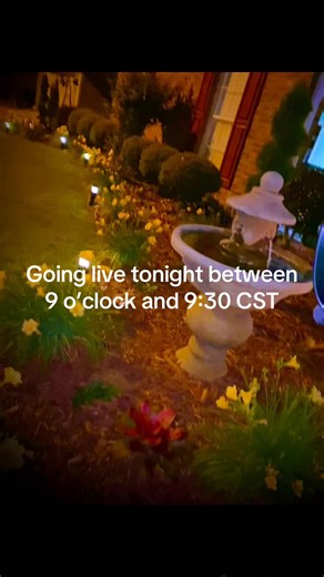 Going live tonight to answer questions and give updates. ##contentcreator##live##creatorsearchinsights ##healing##divorce