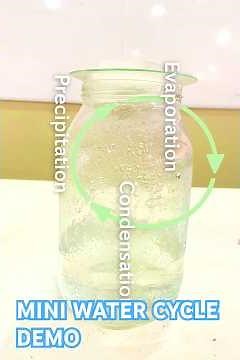 Water Cycle in a Bottle 🌧️ | Evaporation, Condensation & Precipitation Explained in 2 Minutes