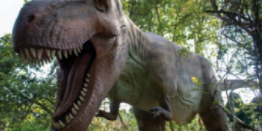 T-Rex Trail headed to Explore Park this summer