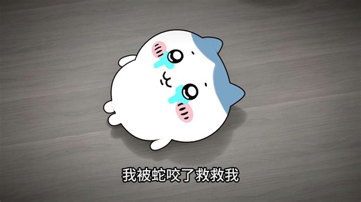 我被蛇咬了救救我