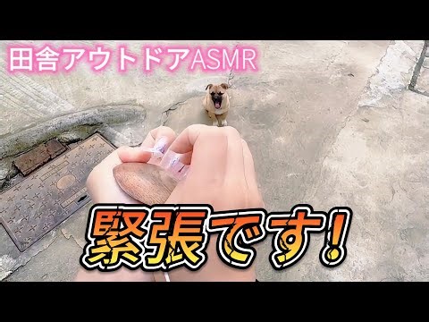 【ASMR】高速タッピング｜田舎の屋外でちょっと緊張しながら/Fast Tapping Outdoors in the Countryside | Feeling a Bit Nervous