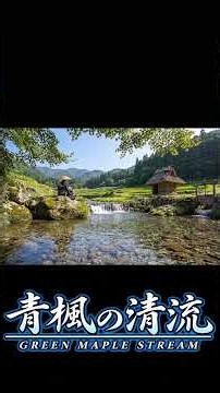 青楓の清流 🍃 江戸の涼やかな夏景色｜和風BGM・川の音 #Shorts