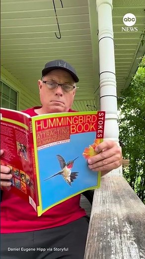 Hummingbird flutters around man reading book about how to attract hummingbirds