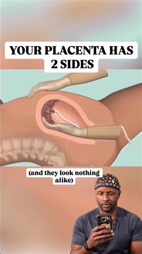 Did You Know Your Placenta Has 2 Completely Different Sides? 🌿😮 #shorts