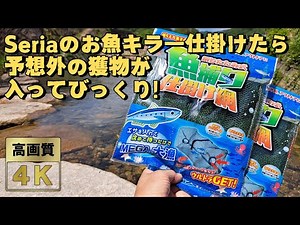 I set up a 100 yen store Seria trap in the river and was surprised to find some unexpected prey i...