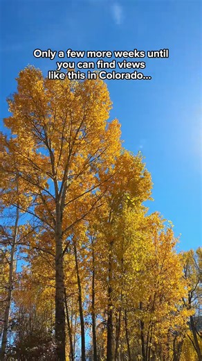 9.1K views · 137 reactions | Pretty soon it will be leaf peeping season in Colorado! Where are you looking forward to seeing the fall foliage?  https://bit.ly/4g1eKtH | Visit Colorado | Facebook