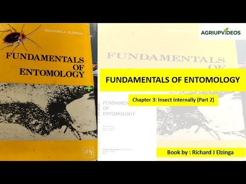Fundamentals of Entomology Chapter 3 Part 2#arthropod #insectanatomy #bscagriculture #entomology#jrf