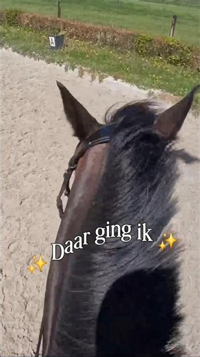 Fall off my horse with me 🥲 #horseriding #horsefall #equestrian