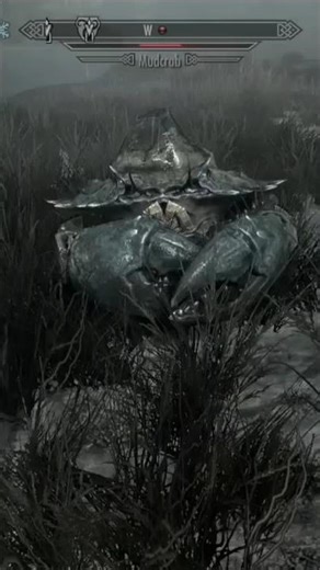 Hug the Mudcrab... #funny #skyrim #creed #elderscrolls #gameplay #fun #survivalgame #gaming #games