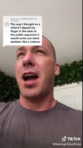 How to Properly Care for Piranhas in Your Aquarium