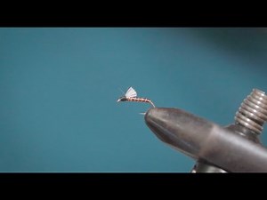 How to: Fly Tying | Root Beer Midge Emerger | Flies for Arkansas Trout