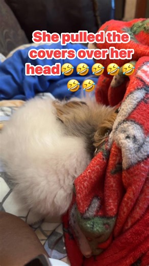 TESSI SAID TURN OUT THEM LIGHTS, IM TRYING TO SLEEP🤪🤪🤪🤪 | Geraldine Smith