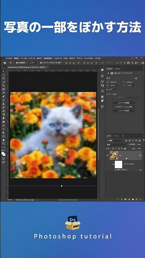 【Photoshop 初心者講座】フォトショで写真の一部をぼかす方法 #shorts