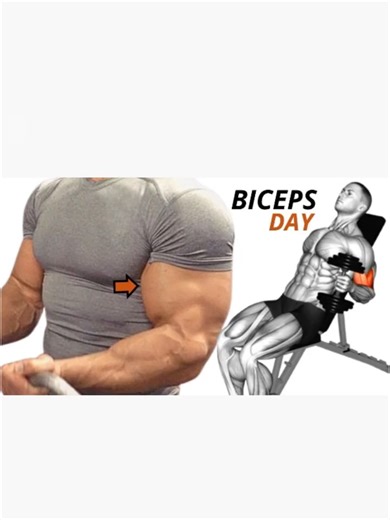 5 best biceps workout at gym / Les meilleurs exercises Musculation des biceps .🔥🔥🔥 #exercise #fitness #gym #gymtok #workout #muscle #homeworkout #biceps #bicepsworkout