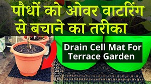 41K views · 697 reactions | How to protect plants from over watering | Terrace & Gardening | Facebook