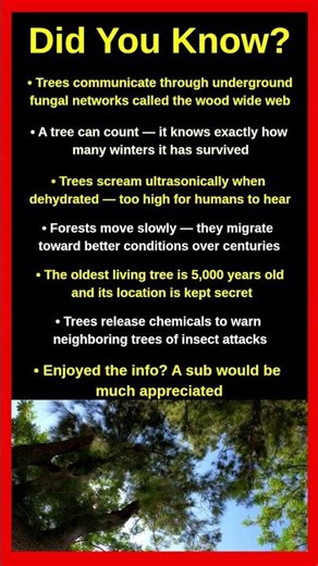 Tree Facts That Will Completely Surprise You 🌳🔬