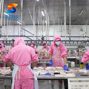 [Hot Item] Poultry Abattoir Line Poultry Processing Line Setup Poultry Processing System Solutions Poultry Processing Line Services