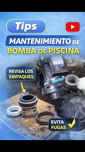 ¿Tu bomba de piscina pierde agua? 💧 Revisa estos empaques antes de que se dañe