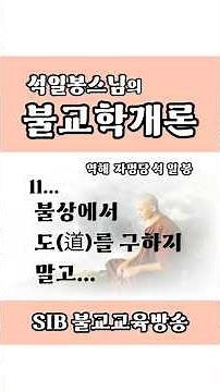 Introduction to Buddhism/Mindfulness / Ep. 11.. Do Not Seek the Path in a Buddha Statue... #MonkS...