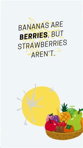 Fun Facts for Kids | Did You Know These Random Facts