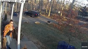 Heroic mother saves terrified five-year-old from raccoon attack