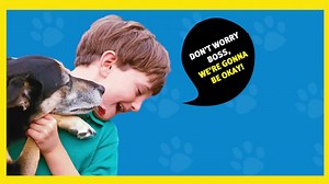 Dogs are not actually kissing you when they lick your face. What it really means when your dog licks your face: | National Geographic Books