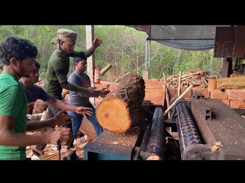 Timber Turning into Beautiful Veneer Sheets