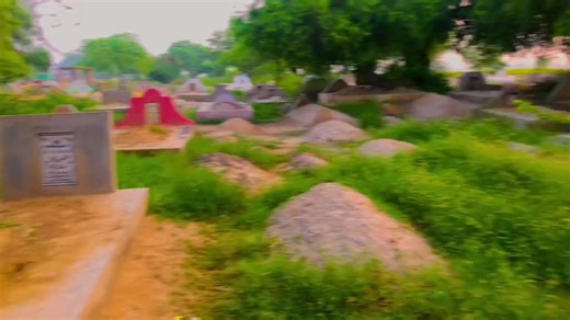 如何下载TikTok视频和MP3音频