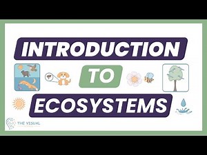 Introduction to Ecosystems | AP Environmental Science (APES Unit 1)