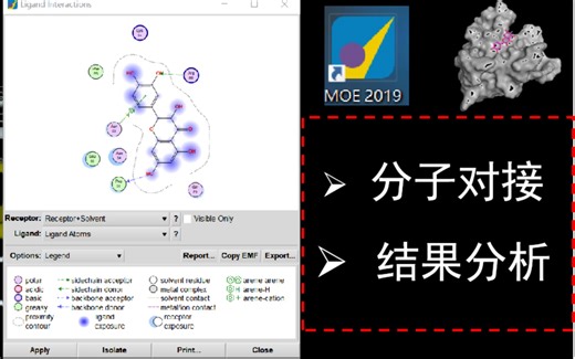 MOE分子对接及结果分析（作图）