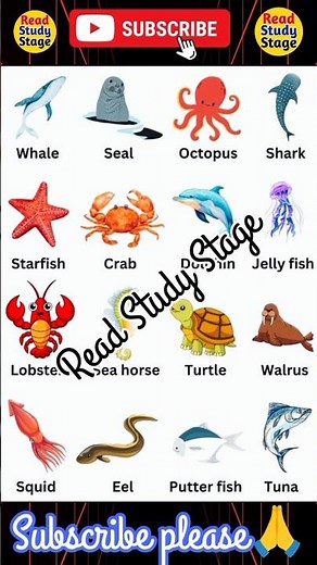 fish name | fish name in english | all fish name in english | 1 to 16 fish name in english | #fish