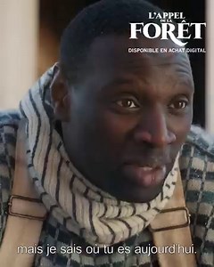 Découvrez l'Appel de la Forêt, avec Omar Sy et Harrison Ford, disponible dès maintenant en achat digital ici https://bit.ly/2T3UH53. | Walt Disney Studios