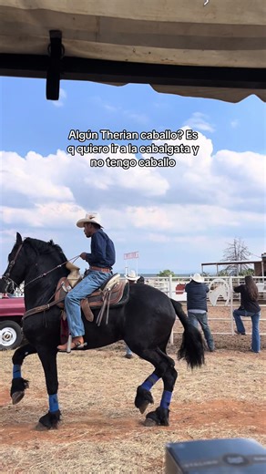 Therians Caballo: Buscando Compañeros para Cabalgatas