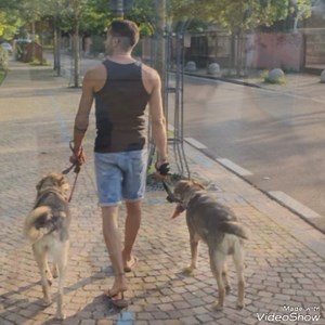 Dopo il passato, c'è un presente ed un futuro 🥰🥰 Che dev'essere sempre insieme ❤️❤️❤️ | I Viaggi di Quattrozampe