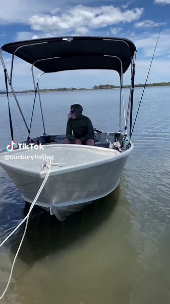 Decent Estuary Tailor Fishing Tips and Techniques