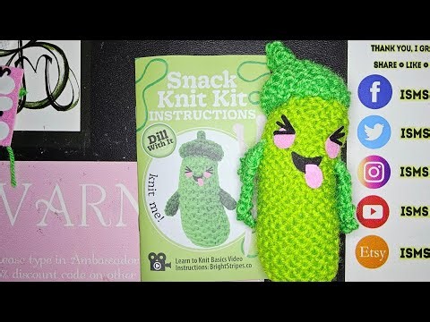 Five Below Itty Bitty Knit Kit Dill with It How to knit For Beginners