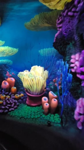 Experience Crush's Coaster: The Nemo Attraction at Disneyland Paris
