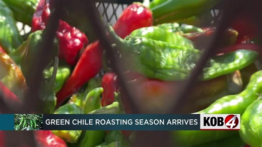 Green chile roasting season arrives in New Mexico