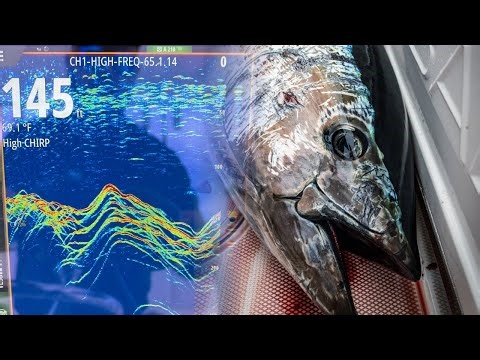 Mastering Offshore Electronics: How To Use Your Fish Finder To Catch More Tuna