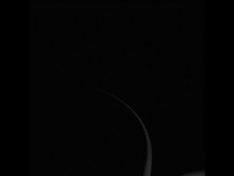 Noisecream - Void Garden