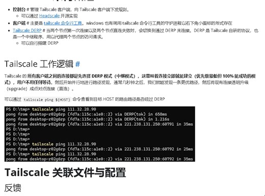 Tailscale 架构概述-好文摘读-1.5625