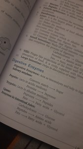 1. What are the functions of the liver?2. What enzymes are pr... | Filo