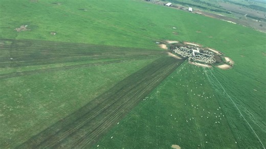 Pastejo rotacionado é eficiente com meia UA por hectare na seca. Entenda