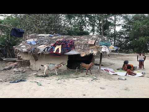 How Poor People Sarvive in The Rural Village Nepal || Countryside Daily Life || Village Life Nepal