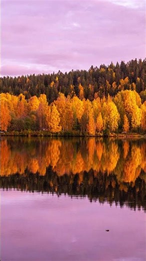 Through the Amber Sky 🌅 Peaceful Piano Music 🍁 Relaxing Sounds for Sleep & Study Short 3