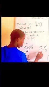 INVERSE OF A MATRIX