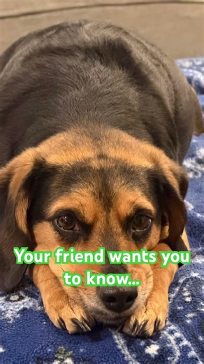 A little message from Lanie. Share it to your friends❤️❤️