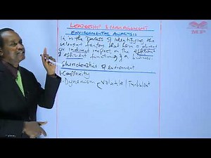 Environmental Analysis - Micro and Macro